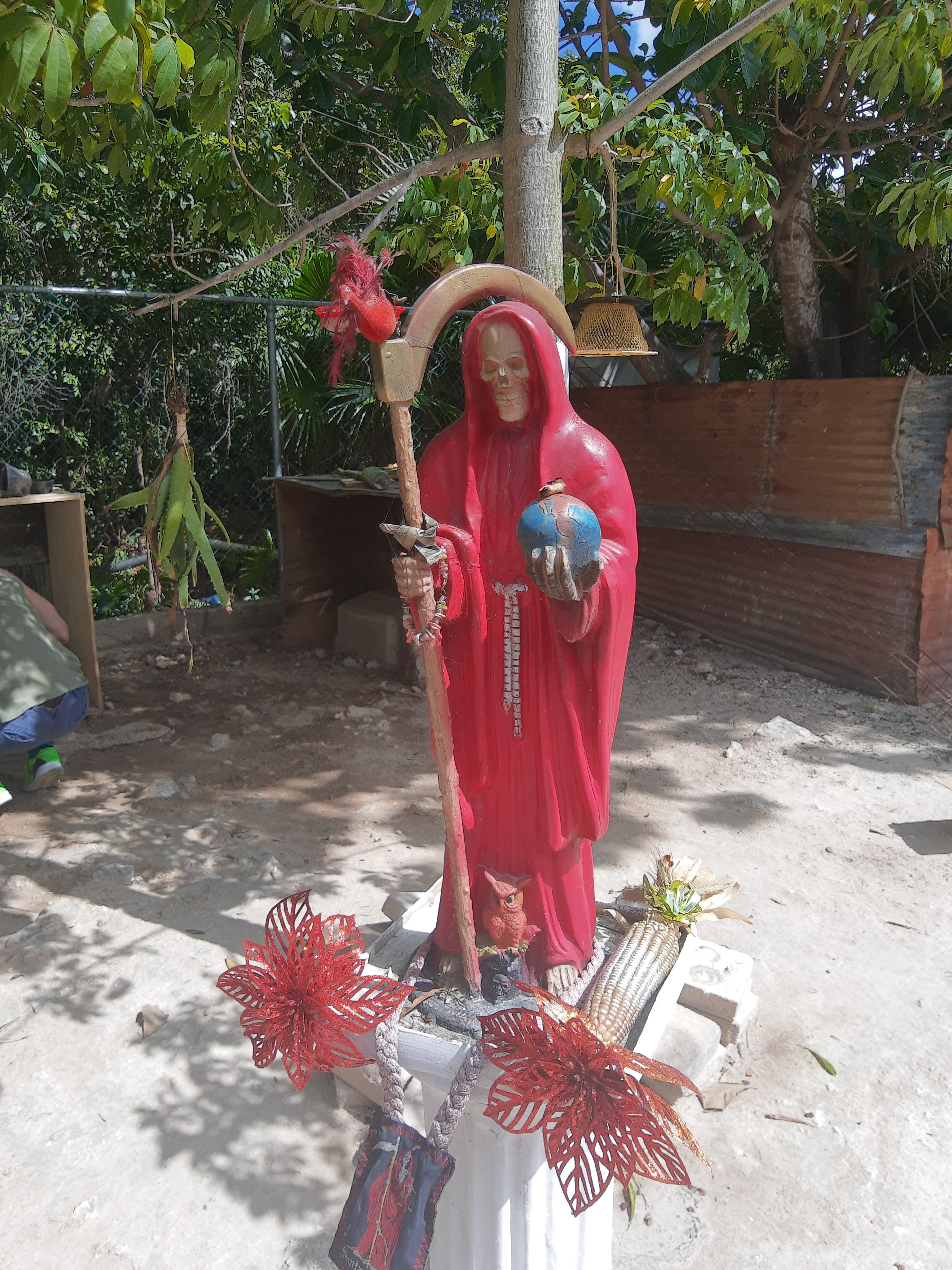 IMG_20200218_141600266